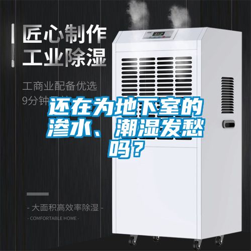 還在為地下室的滲水、潮濕發愁嗎？