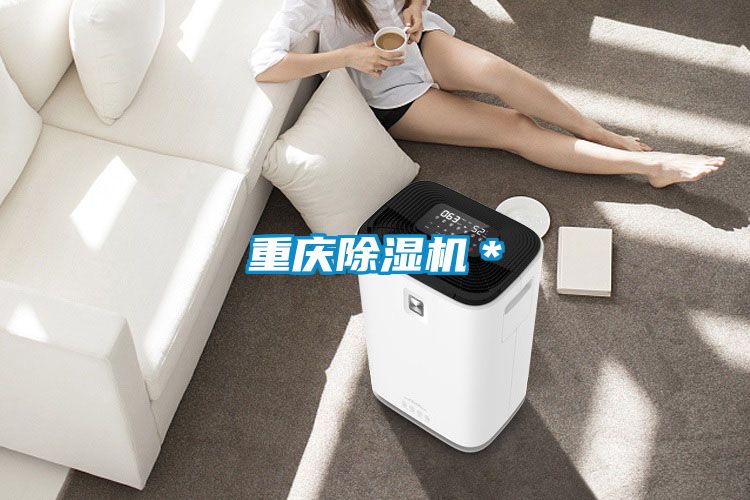 重慶除濕機(jī)*