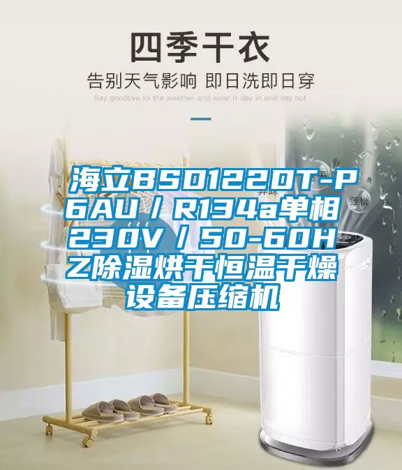 海立BSD122DT-P6AU／R134a單相230V／50-60HZ除濕烘干恒溫干燥設備壓縮機