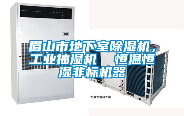 眉山市地下室除濕機,工業抽濕機 恒溫恒濕非標機器