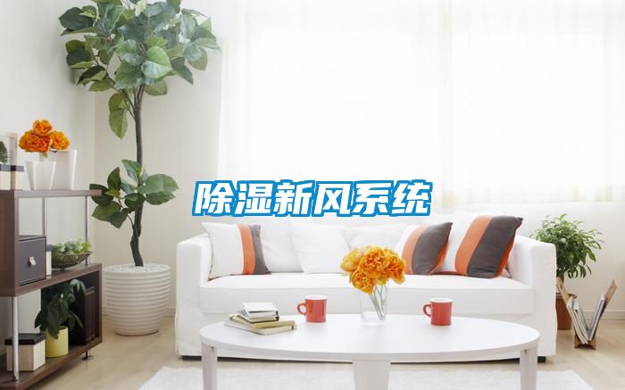除濕新風系統