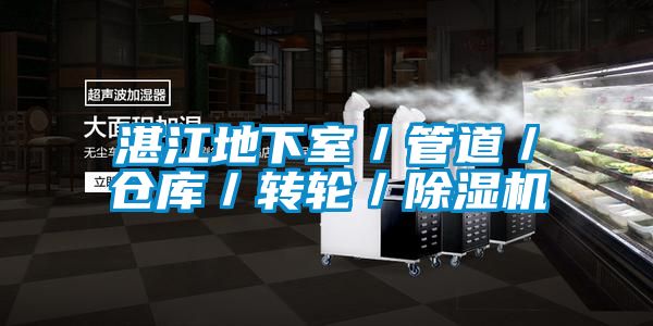 湛江地下室/管道/倉庫/轉輪/除濕機