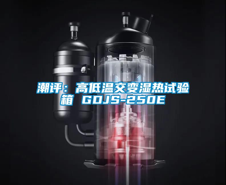 潮評(píng):高低溫交變濕熱試驗(yàn)箱 GDJS-250E