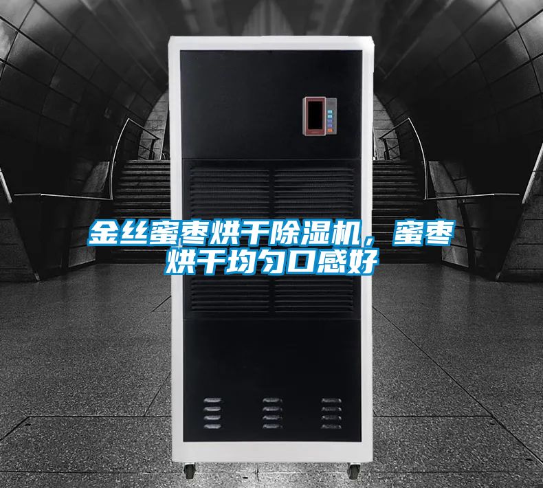 金絲蜜棗烘干除濕機,蜜棗烘干均勻口感好