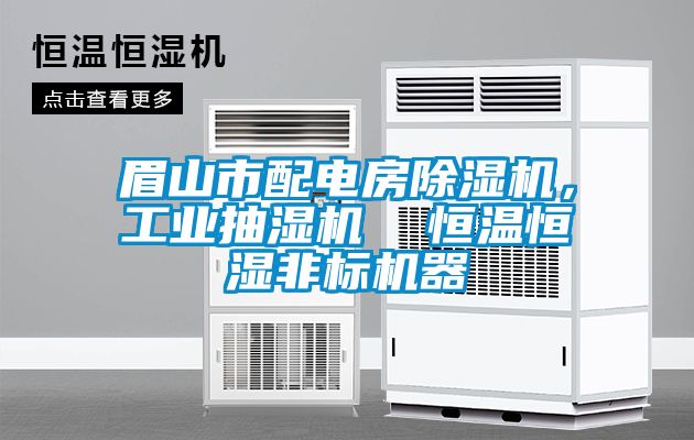 眉山市配電房除濕機，工業抽濕機  恒溫恒濕非標機器