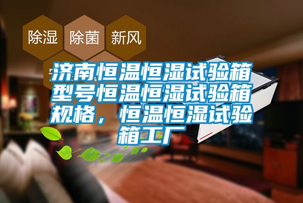 濟南恒溫恒濕試驗箱型號恒溫恒濕試驗箱規格，恒溫恒濕試驗箱工廠