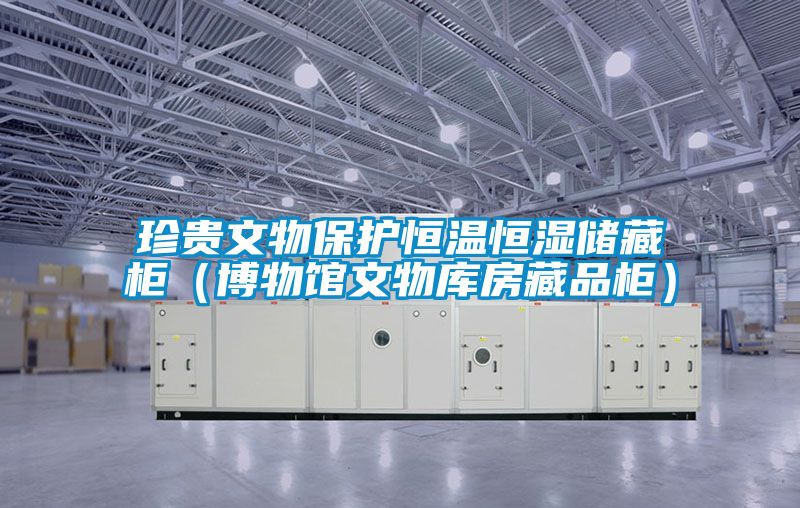 珍貴文物保護(hù)恒溫恒濕儲藏柜(博物館文物庫房藏品柜)
