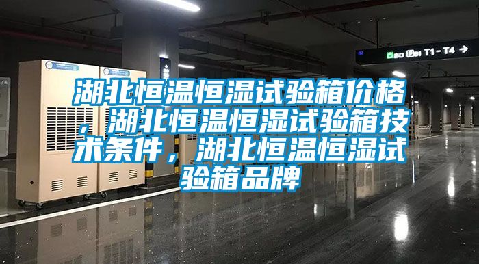 湖北恒溫恒濕試驗(yàn)箱價格，湖北恒溫恒濕試驗(yàn)箱技術(shù)條件，湖北恒溫恒濕試驗(yàn)箱品牌