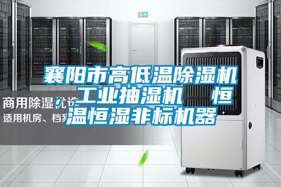 襄陽市高低溫除濕機,工業抽濕機 恒溫恒濕非標機器