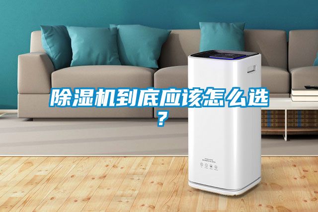 除濕機到底應該怎么選？