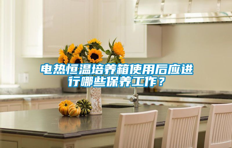 電熱恒溫培養(yǎng)箱使用后應(yīng)進行哪些保養(yǎng)工作?