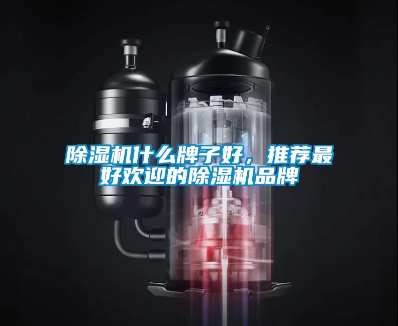 除濕機什么牌子好,推薦最好歡迎的除濕機品牌