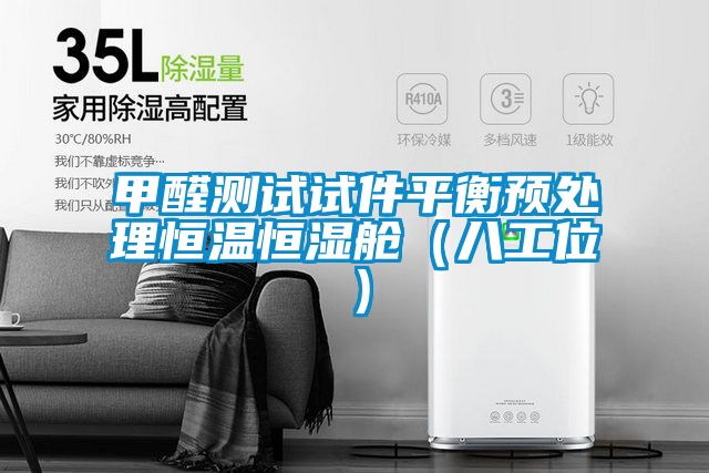 甲醛測(cè)試試件平衡預(yù)處理恒溫恒濕艙（八工位）