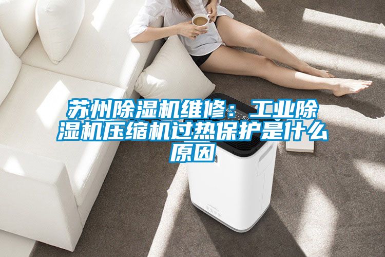 蘇州除濕機(jī)維修:工業(yè)除濕機(jī)壓縮機(jī)過熱保護(hù)是什么原因