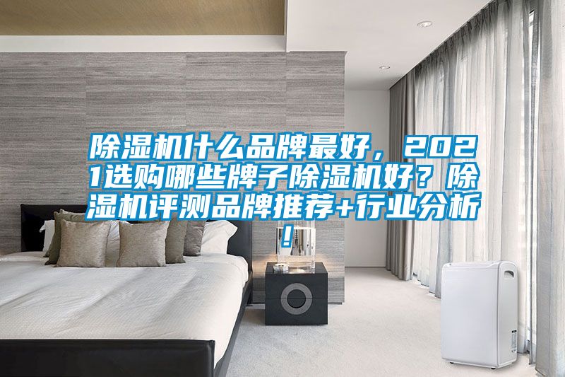 除濕機什么品牌最好，2021選購哪些牌子除濕機好？除濕機評測品牌推薦+行業分析！