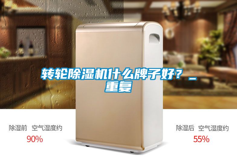轉(zhuǎn)輪除濕機(jī)什么牌子好？_重復(fù)