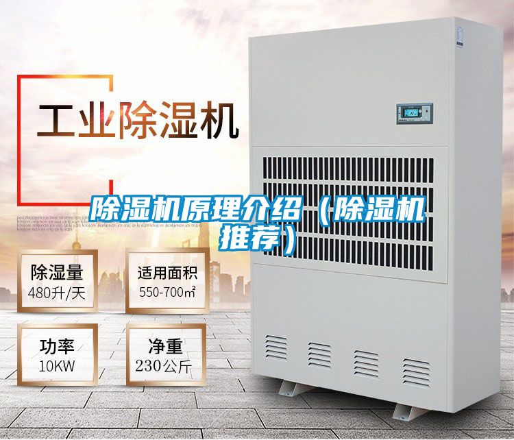 除濕機原理介紹(除濕機推薦)