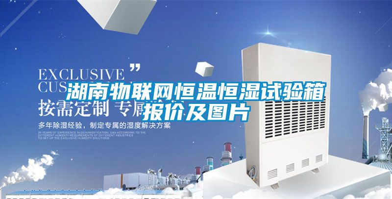 湖南物聯(lián)網(wǎng)恒溫恒濕試驗箱報價及圖片