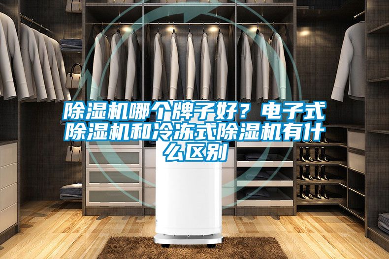 除濕機哪個牌子好?電子式除濕機和冷凍式除濕機有什么區別