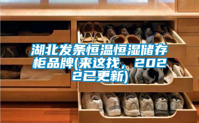 湖北發(fā)條恒溫恒濕儲存柜品牌(來這找,2022已更新)