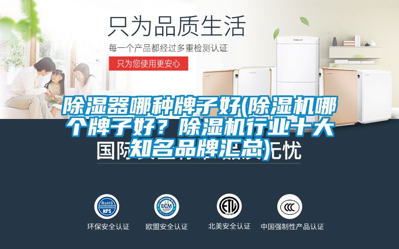 除濕器哪種牌子好(除濕機哪個牌子好?除濕機行業十大知名品牌匯總)