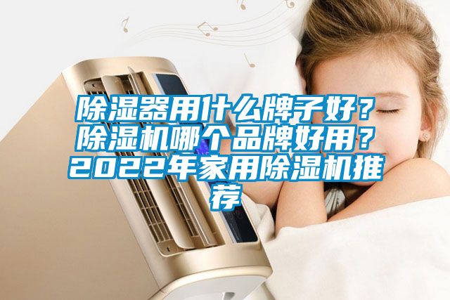 除濕器用什么牌子好？除濕機哪個品牌好用？2022年家用除濕機推薦