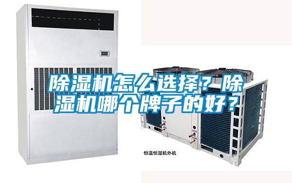 除濕機怎么選擇?除濕機哪個牌子的好?