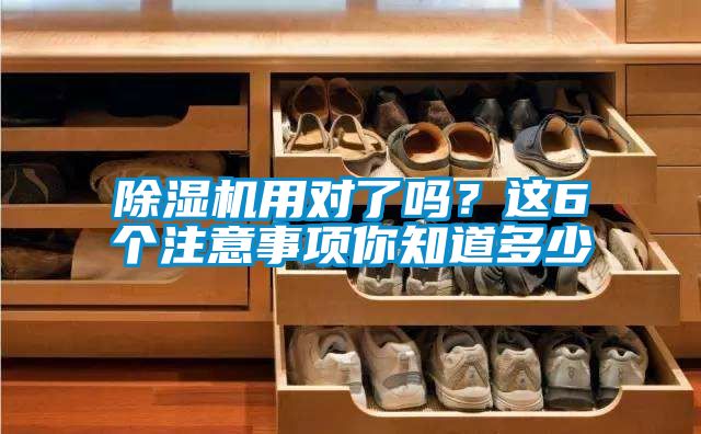 除濕機用對了嗎?這6個注意事項你知道多少