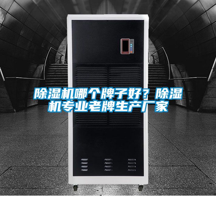 除濕機(jī)哪個牌子好?除濕機(jī)專業(yè)老牌生產(chǎn)廠家