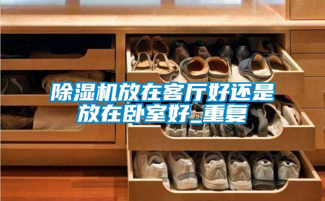除濕機放在客廳好還是放在臥室好_重復