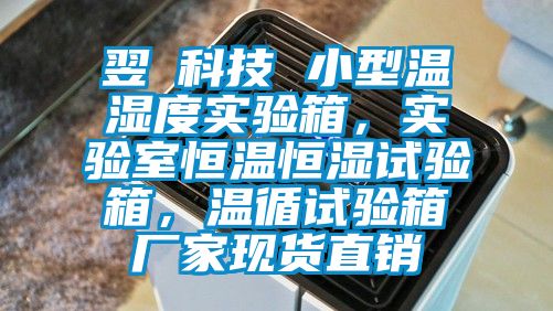 翌昇科技 小型溫濕度實驗箱,實驗室恒溫恒濕試驗箱,溫循試驗箱廠家現貨直銷