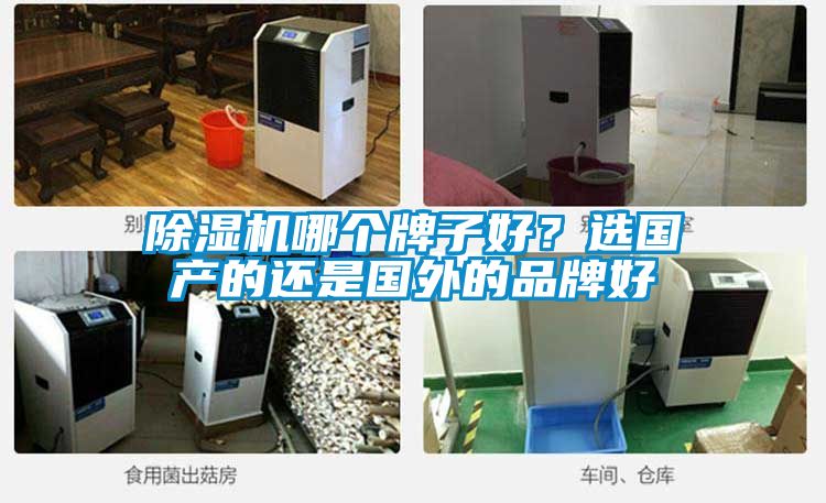 除濕機哪個牌子好？選國產的還是國外的品牌好