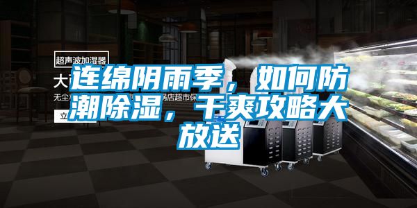 連綿陰雨季,如何防潮除濕,干爽攻略大放送