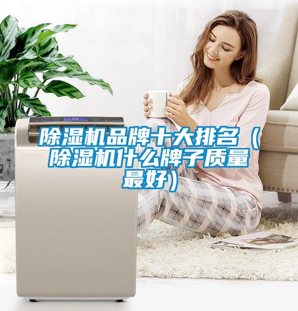 除濕機(jī)品牌十大排名(除濕機(jī)什么牌子質(zhì)量最好)