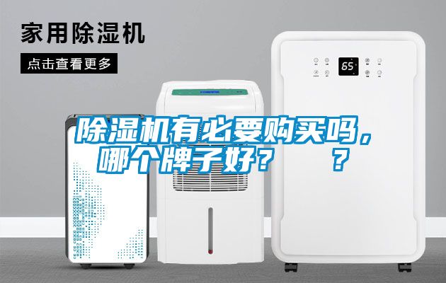 除濕機有必要購買嗎，哪個牌子好？  ？