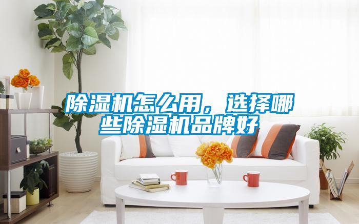 除濕機怎么用，選擇哪些除濕機品牌好