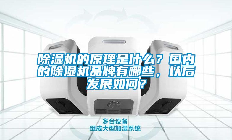 除濕機的原理是什么？國內的除濕機品牌有哪些，以后發展如何？