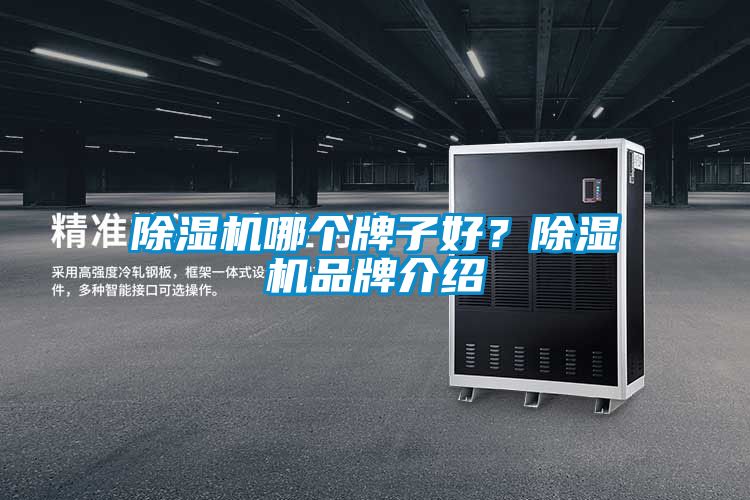 除濕機哪個牌子好?除濕機品牌介紹