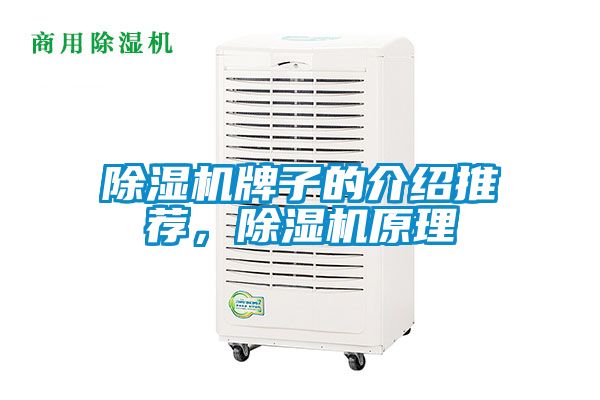 除濕機(jī)牌子的介紹推薦,除濕機(jī)原理