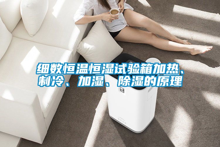 細(xì)數(shù)恒溫恒濕試驗(yàn)箱加熱、制冷、加濕、除濕的原理