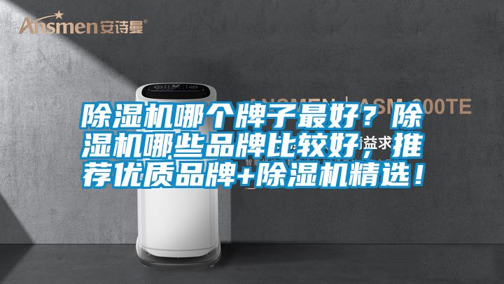 除濕機哪個牌子最好？除濕機哪些品牌比較好，推薦優質品牌+除濕機精選！