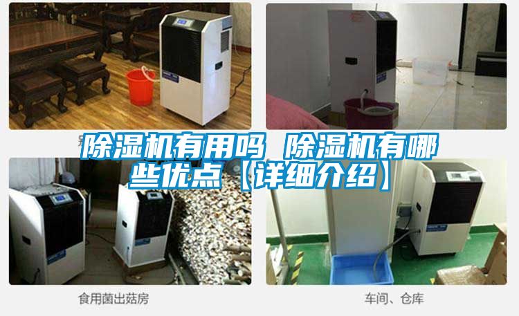 除濕機(jī)有用嗎 除濕機(jī)有哪些優(yōu)點【詳細(xì)介紹】