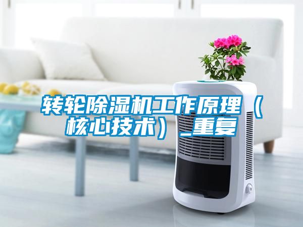 轉輪除濕機工作原理（核心技術）_重復