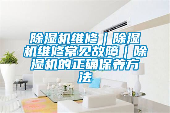 除濕機維修|除濕機維修常見故障|除濕機的正確保養方法