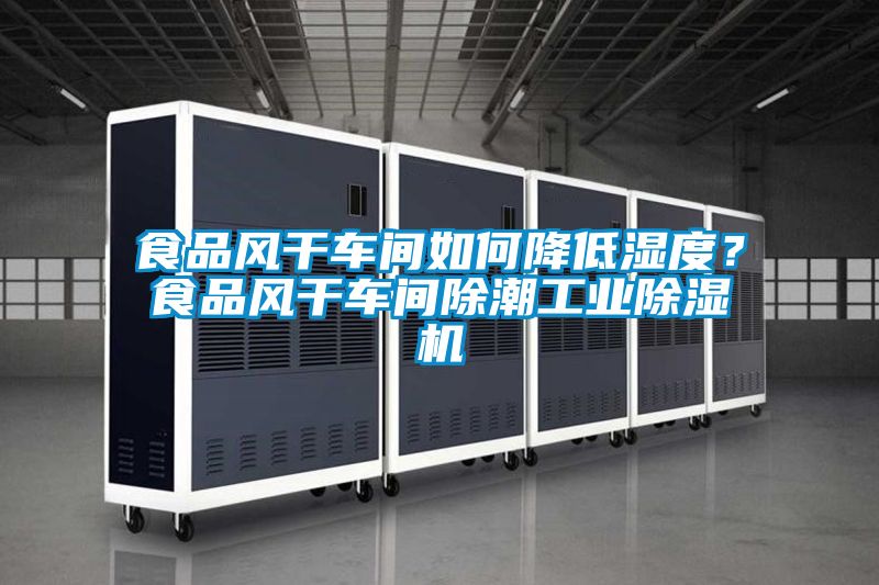 食品風干車間如何降低濕度?食品風干車間除潮工業除濕機