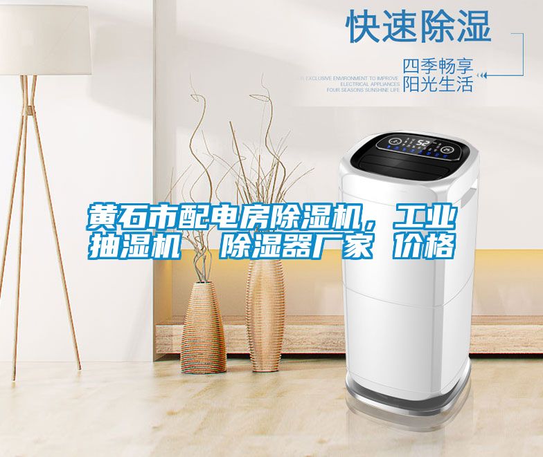 黃石市配電房除濕機,工業抽濕機 除濕器廠家 價格