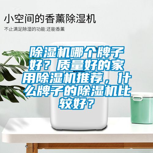 除濕機哪個牌子好？質量好的家用除濕機推薦，什么牌子的除濕機比較好？