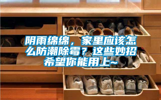 陰雨綿綿,家里應該怎么防潮除霉?這些妙招希望你能用上~