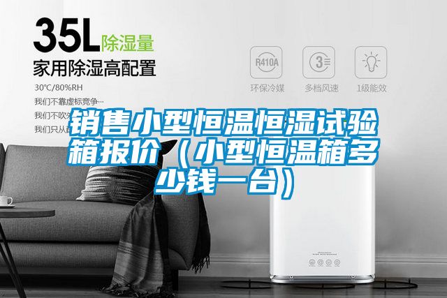 銷售小型恒溫恒濕試驗箱報價(小型恒溫箱多少錢一臺)