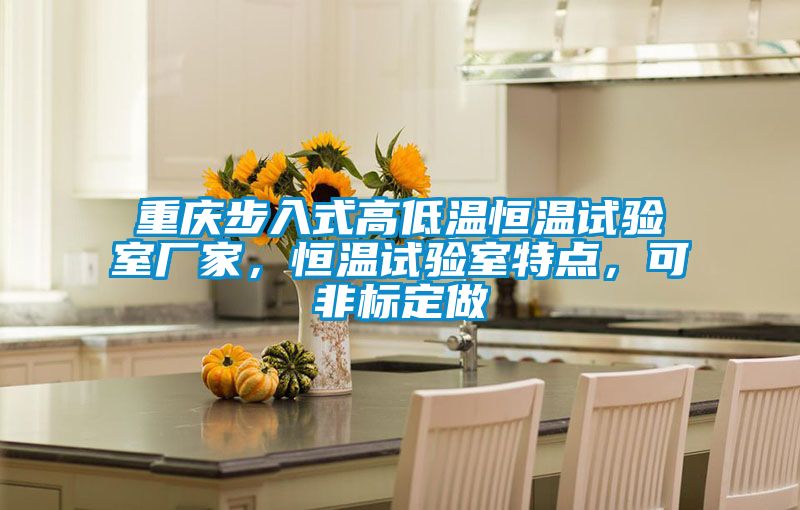 重慶步入式高低溫恒溫試驗室廠家,恒溫試驗室特點,可非標定做